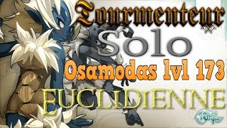 Wakfu tourmenteur solo  Osamodas lvl 173 Stasis 11 [upl. by Aremahs]