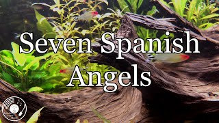 Seven Spanish Angels w lyrics  Ray Charles amp Willie Nelson Version [upl. by Amedeo224]