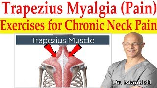 Trapezius Myalgia Caused From Forward Head Posture Best Corrective Exercises  Dr Mandell DC [upl. by Reade]