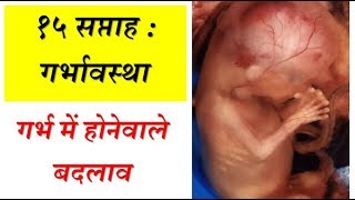 15 weeks of pregnancy and baby development in Hindi [upl. by Eislek183]