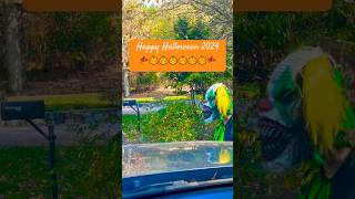 Tybrettlen Lawn Care  Fall Leaf Cleanups  5088449785  wwwTybrettlenlawncarecom scary Funny [upl. by Lydia120]