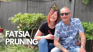 Caution ⛔️ Viewers May Find This Fatsia Pruning Hard To Watch 😆 [upl. by Okiron]