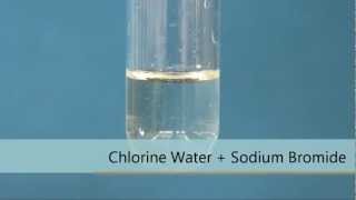 Chlorine Water  Sodium Bromide [upl. by Ahsikin]