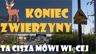 🦌Koniec zwierzyny – cisza która mówi więcej niż słowa 🌲 Piaski  Bydgoszcz sezon 2023 [upl. by Tiphani]