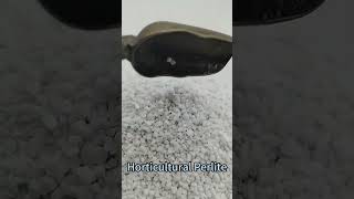 Expanded Horticulture Perlite for Greenhouse Hydroponic Plants perlite hydroponicsfarming [upl. by Yelekalb]