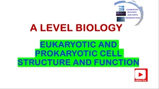 A level  Biology  Topic 3A  Eukaryotic and prokaryotic cell structure and function  Edexcel [upl. by Gavrah885]