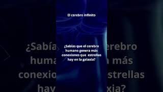 El cerebro ðŸ§ y las conexiones neuronales [upl. by Talanta66]