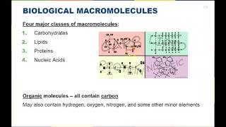 Chapter 3  Biological Macromolecules [upl. by Sapers]