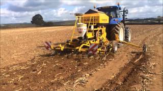 Claydon 3m Hybrid Direct Drilling Wheat Into Maize Stubble Devon [upl. by Johanna162]