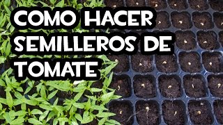 Como hacer Semilleros de Tomate  Muy fácil 🍅 [upl. by Eeimaj413]