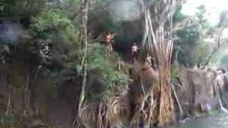 Kauai Mountain Dew rope swing [upl. by Rosario29]