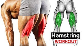 Best Exercise hamstring Workout  Dont Skip It Never [upl. by Hajed]