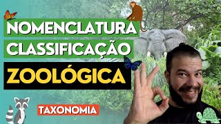 Nomenclatura e classificação dos animais taxonomia zoológica [upl. by Oliviero]