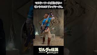 マスターソードが抜けないリンクのコスプレイヤーさんｗｗ【ゼルダの伝説 ブレス オブ ザ ワイルド】 [upl. by Harret]