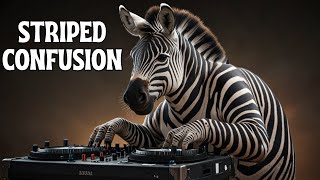 Striped Confusion  ZEBRA SONG  Animal amp NATURE SONGS [upl. by Litt]