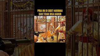 HARIMAU INI NGAMUK DI PAKSA MELAWAN SAUDARA NYA SENDIRI alurceritaflim film [upl. by Bunce775]