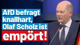 Regierungsbefragung AfDFraktion grillt Kanzler Scholz  AfDFraktion im Bundestag [upl. by Anehc634]