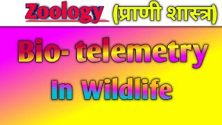 biotelemetry in Wildlife हिंदी नोट्स के साथ Zoology question biology [upl. by Akimahc646]