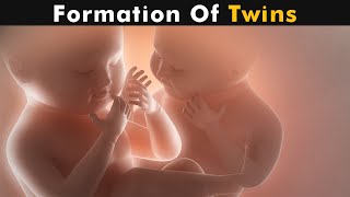 How Twins Are Formed  Fraternal twins amp identical twins UrduHindi [upl. by Aridni996]