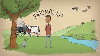 What is an entomologist [upl. by Leeth76]