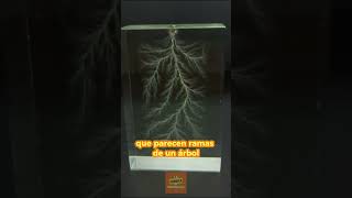 ¡Así es Cómo la Electricidad Transforma Vidrio en Algo Increíble datocurioso curiosidades [upl. by Oidiple]