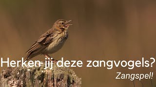 Herken jij deze zangvogels in beeld en geluid [upl. by Theodoric]