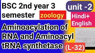 Bsc 2nd year 3semster zoology topic Aminoacylation of RNA and Aminoacyl tRNA synthetase [upl. by Dix]