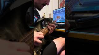 Alternate Picking 🫡 guitar guitarra guitarist [upl. by Anselma]