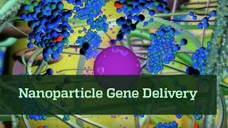 Nanoparticle Gene Delivery [upl. by Ahsimin]