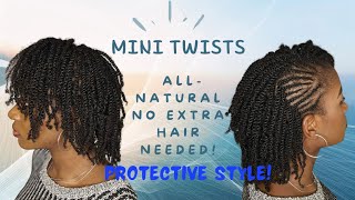 How to braid Easiest hairstyle  Protective Style for Natural 4C Hair  Mini Twist  Side Cornrows [upl. by Derwon737]