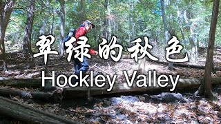 翠绿的秋色  Hockley Valley [upl. by Monro593]