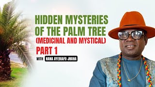 POWERFUL MEDICINAL AND MYSTICAL USE OF THE PALM TREE BY jnanacaksusdas572 [upl. by Setiram]