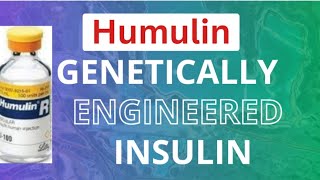 Humulin  Genetically Engineered Insulin lll Biotechnology and its application lll NEET class XII [upl. by Ransell]