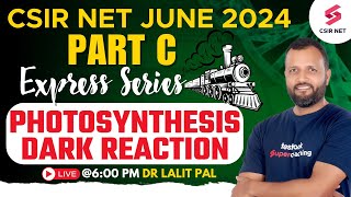 CSIR NET 2024 Preparation  CSIR Life Science Part C Photosynthesis Dark Reaction  Dr Lalit Pal [upl. by Korff]