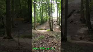 discgolf discgolflife dynamicdiscs lucidxverdict disclife dangdiscgolf birdie [upl. by Ahsinat]