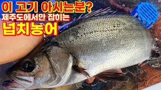 농어중에서 최상위 넙치농어 회뜨기  sea bass Sashimi [upl. by Aivartal]