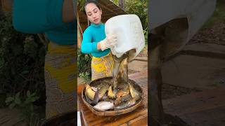 How to cook fish recipe  shorts cooking recipe food shortvideo [upl. by Allicsirp]