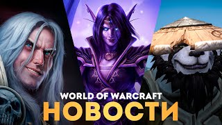 БОЛЬШОЙ АНОНС ОТ BLIZZARD Теперь Wow сильно изменится [upl. by Ramonda113]