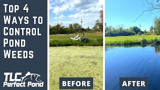 TOP 4 WAYS to Remove Pond Weeds [upl. by Suiradel914]