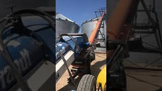 2019 Corn harvest videos [upl. by Sabsay169]