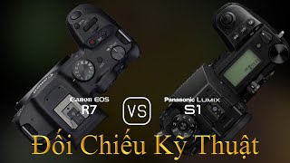 Canon EOS R7 và Panasonic Lumix S1 Một Đối Chiếu Về Thông Số Kỹ Thuật [upl. by Inanak]