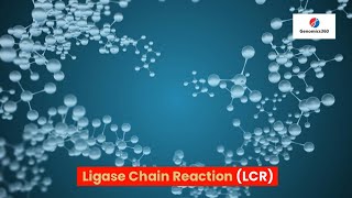 Ligase Chain Reaction LCR [upl. by Rosetta993]