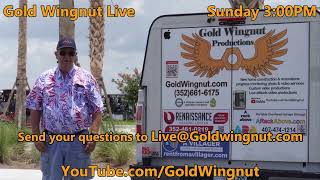 Gold Wingnut Video 145 Premier and Gold Wingnut Live 22 772024 3 PM [upl. by Renick]