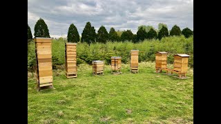 Checkerboarded Colony Inspection 11  Jon Owens Apiary [upl. by Jordanson]