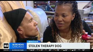 The search is on for whoever stole the therapy dog of a 79yearold woman with dementia [upl. by Eradis]