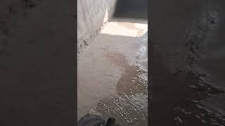 Kitchen Waterproofing Coating । Water Proofing Treatment in Kitchen । Building Waterproofing [upl. by Eibbed]