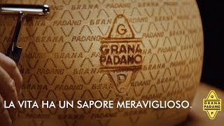 Il battitore  2018 Grana Padano 45 [upl. by Attej]