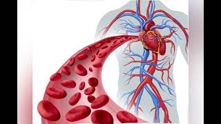 heart  coronary angiogram vs coronary angioplasty [upl. by Tayib]