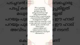 നീ ചെച്ചലക്കല്ലേ  trend song  lyrics  shorts safa musthafa [upl. by Enyrb]