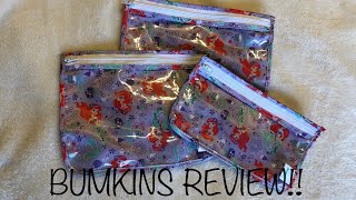 Bumkins Clear Travel Bags REVIEW [upl. by Argela]